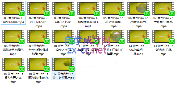 《百家讲坛》黄帝内经第一部（17讲高清·完整版）