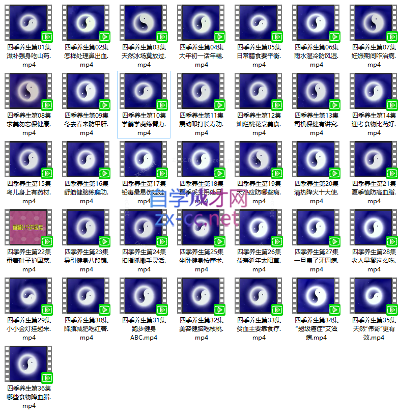 四季养生（视频·全36集）