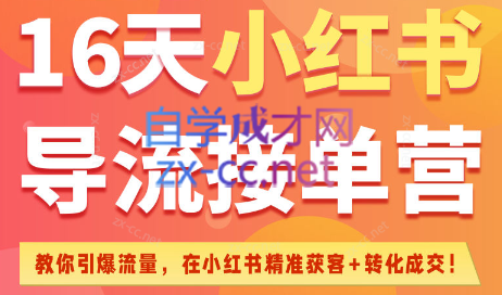 16天小红书导流接单营（6月25日-7月10日）