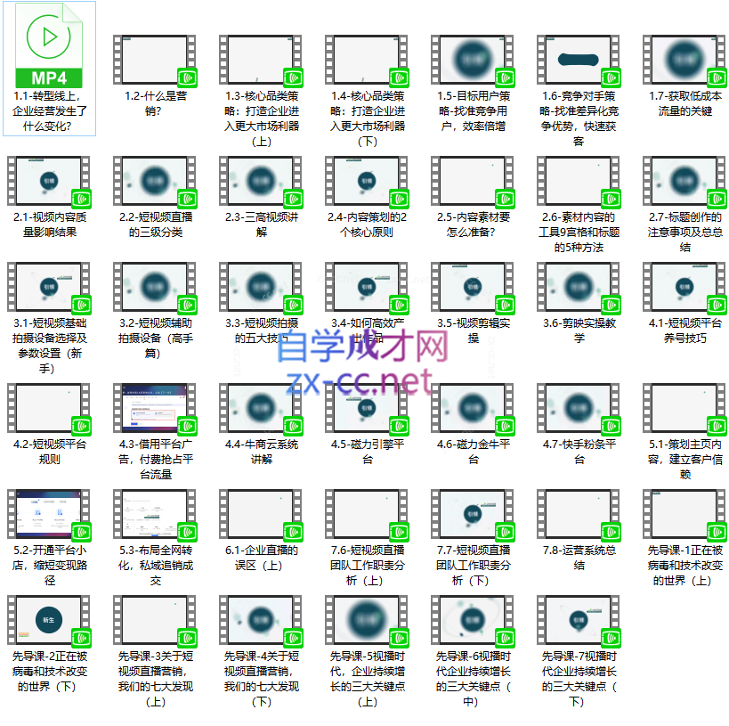 实战营销为企业打造的短视频直播盈利系统盈利课
