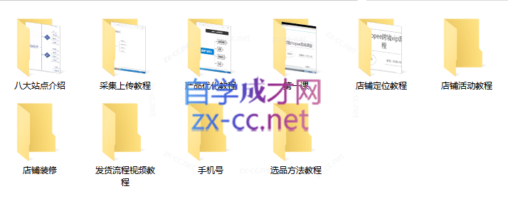 艾玛-shopee跨境电商全套视频