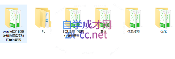 Oracle软件在主机平台的应用