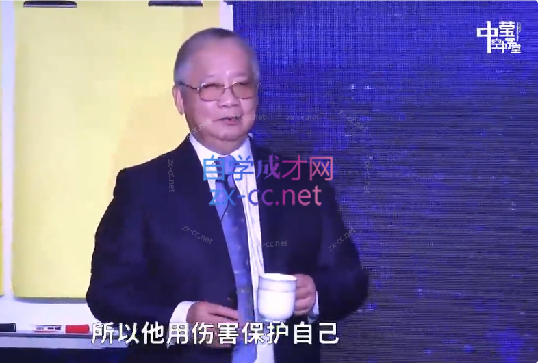 李中莹讲天法人法之别幸福人生之道高端思维技巧课 视频+文档