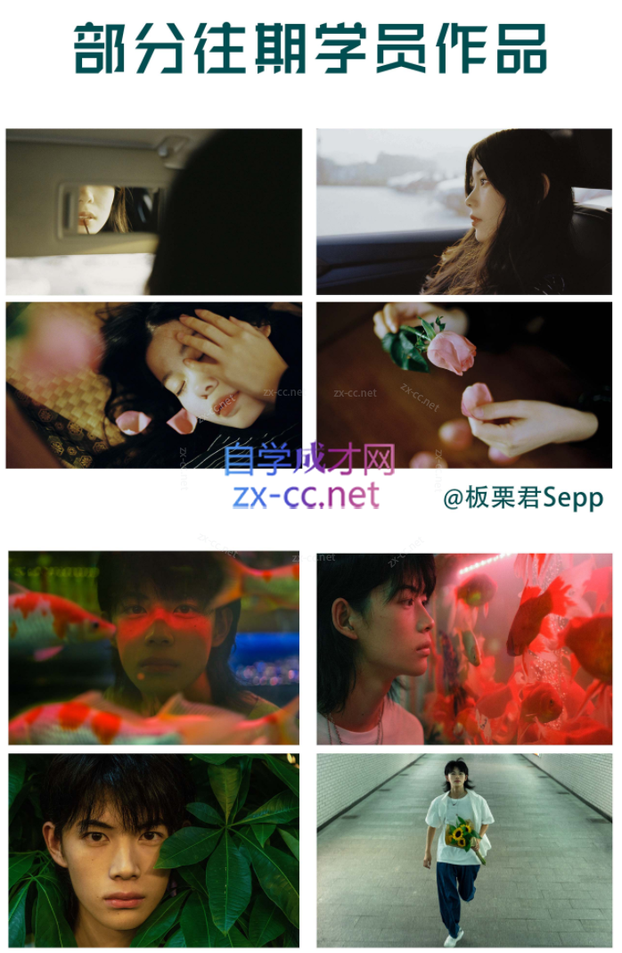 麻雀大人情感人像摄影综合训练大课堂
