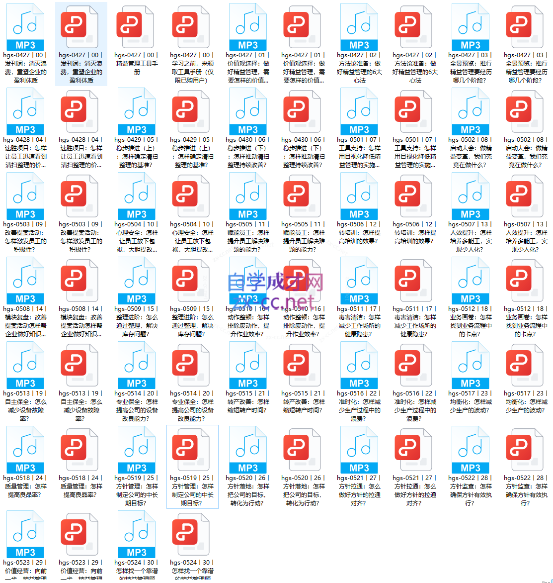 胡光书精益管理实战课（完结）