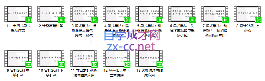 朱小宝：北斗针灸线上训练营（初阶~入针门）（中阶~筑针基）