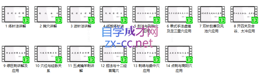 朱小宝：北斗针灸线上训练营（初阶~入针门）（中阶~筑针基）
