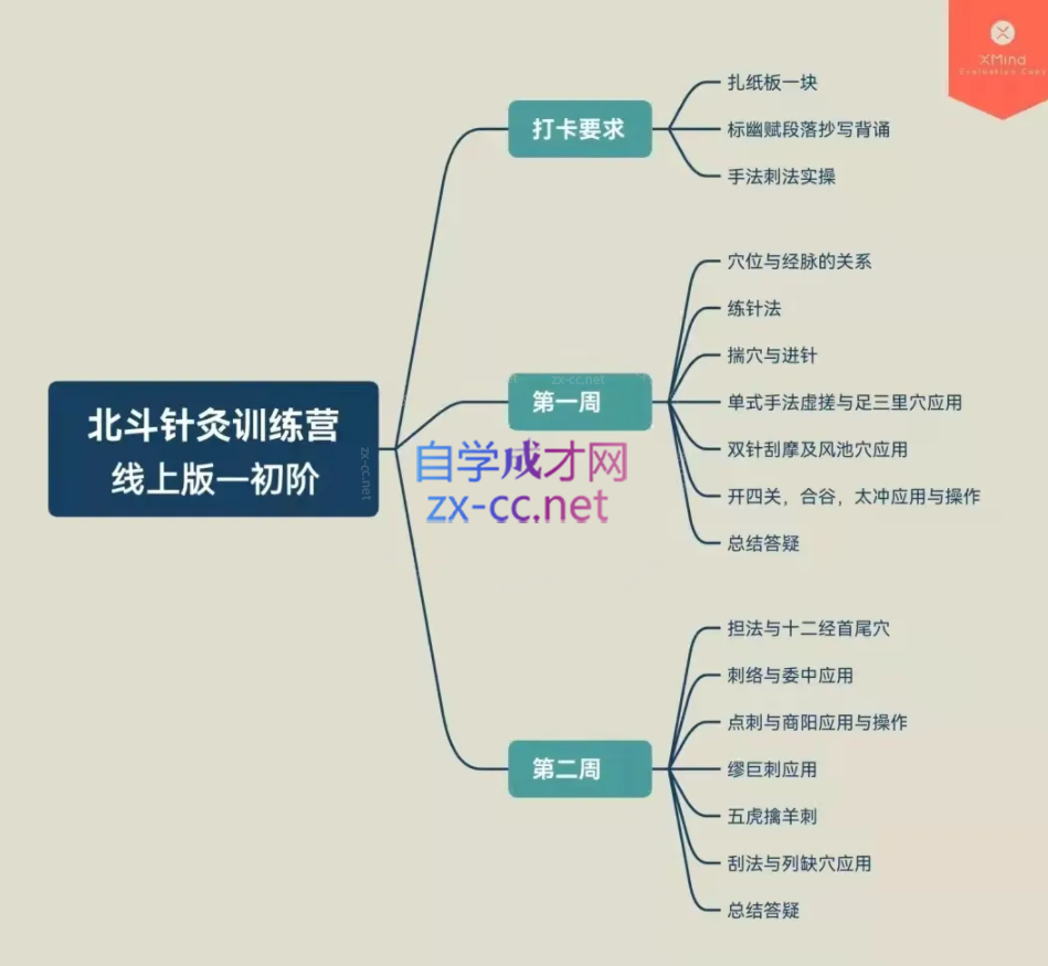 朱小宝：北斗针灸线上训练营（初阶~入针门）（中阶~筑针基）