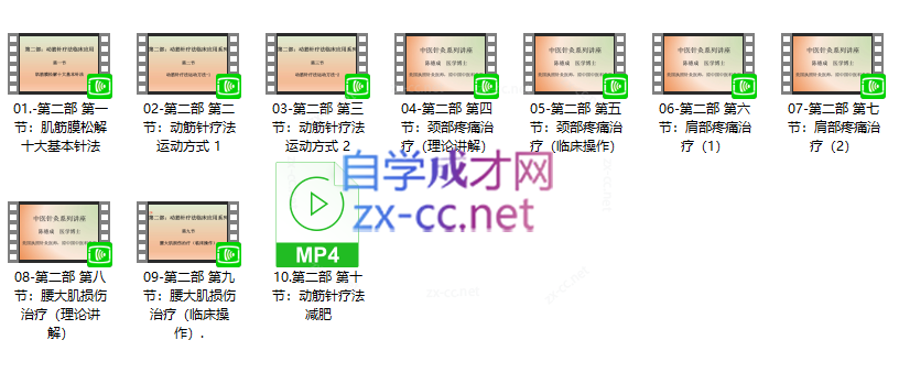 陈德成动筋针疗法全系列课程 11.41G