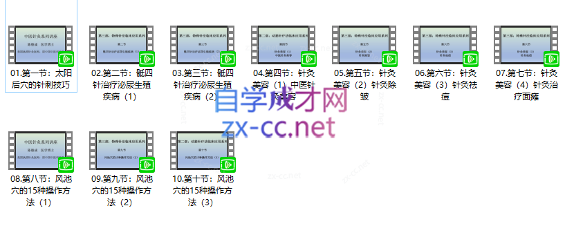 陈德成动筋针疗法全系列课程 11.41G