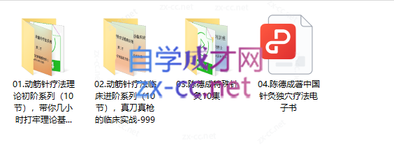 陈德成动筋针疗法全系列课程 11.41G