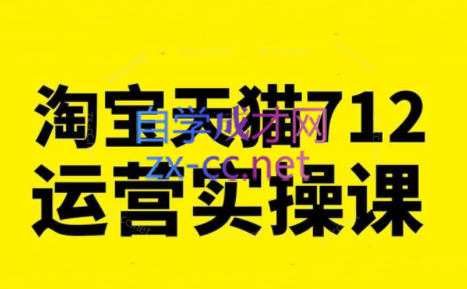 蒋晖·淘宝天猫712运营实操课（更新23年11月）