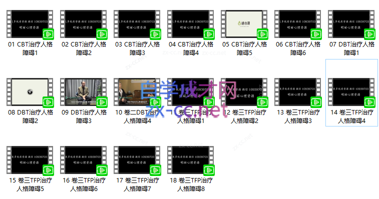 人格障碍案例治疗教学｜林内翰、科恩伯格、弗里曼三位大师“神仙打架”