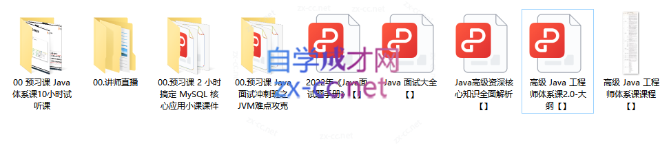 Java-极客-高级Java工程师体系课 2.0（更新到31周）