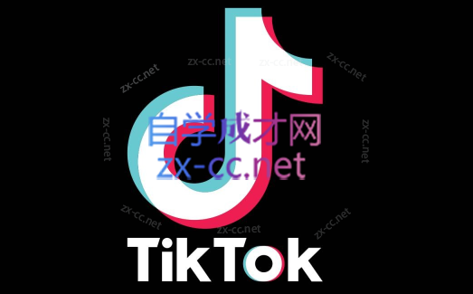 蓝创·Tiktok美区本土全流程系统性训练