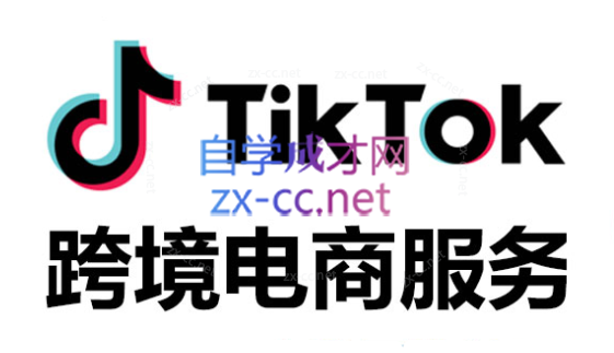 布董·TikTok全案短视频+独立站