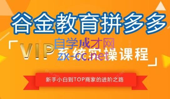 谷金多多学堂·拼多多0-100实战训练营（更新23年9月）