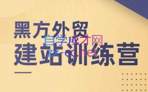 黑方老师·谷歌B端独立站建站推广