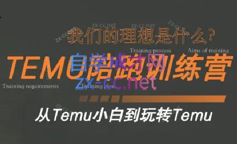 苗苗·拼多多跨境（temu）课程