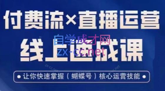 吕承洺·视频号付费流实操课程×直播运营线上速成课