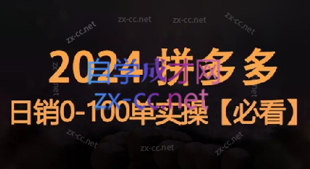 恒哥·2024拼多多日销0-100单实操