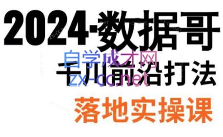 数据哥·2024年千川前沿打法落地实操课