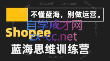 王老师·shopee蓝海思维高阶精品运营课（2023版）