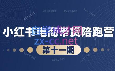 盗坤·小红书电商带货陪跑营（第十一期）