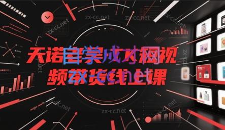 天诺老吴·TK短视频带货线上课