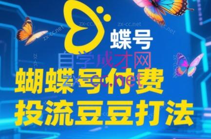 渔财老师·2025蝴蝶号付费投流豆豆打法