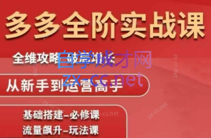 大炮·拼多多全阶实战课程（更新6月）