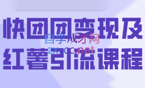 葡萄·快团团变现及红薯引流课程