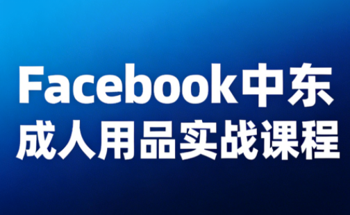 Facebook中东成人用品实战