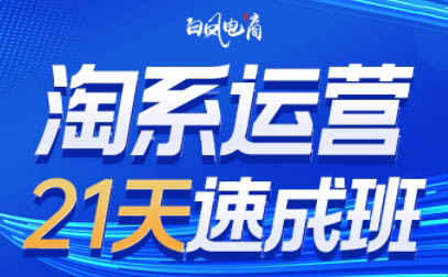 白凤电商·淘系运营21天速成班（更新6月）