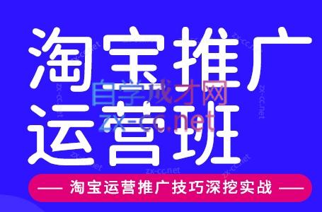 美迪电商·淘宝高级运营班+推广运营班（更新6月）