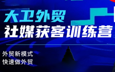 大卫老师·外贸社媒获客独家训练营（更新6月）