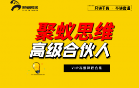 聚蚁思维高级合伙人vip会员课程合集【2020-2021】 聚蚁思维高级合伙人vip会员课程合集【2020-2021】