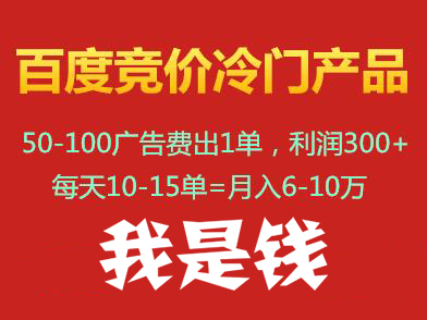 我是钱百度竞价冷门产品【30-43期】,价值5000元 我是钱百度竞价冷门产品【30-43期】,价值5000元