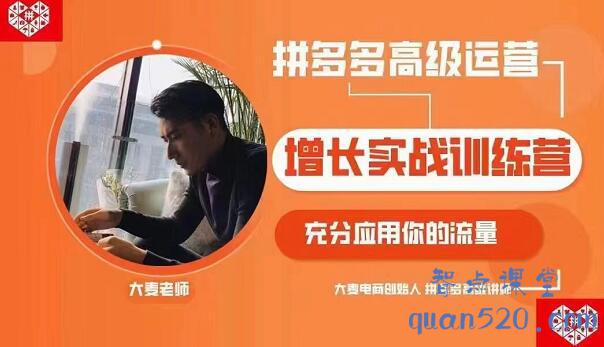 大麦课堂·拼多多高级运营vip课程,价值2350元 大麦课堂·拼多多高级运营vip课程,价值2350元