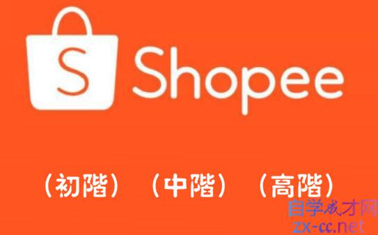 Shopee爆单训练营(更新10月)，价值3999元