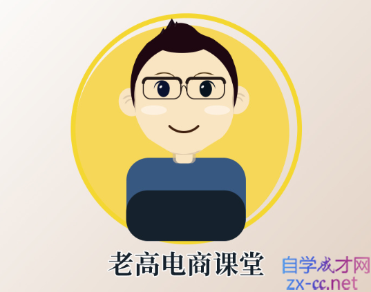 老高电商VIP课程,价值3980元 老高电商VIP课程,价值3980元