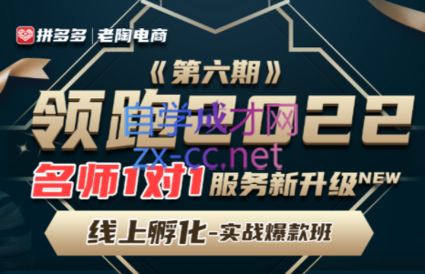 老陶·领跑2022拼多多VIP课程 老陶·领跑2022拼多多VIP课程