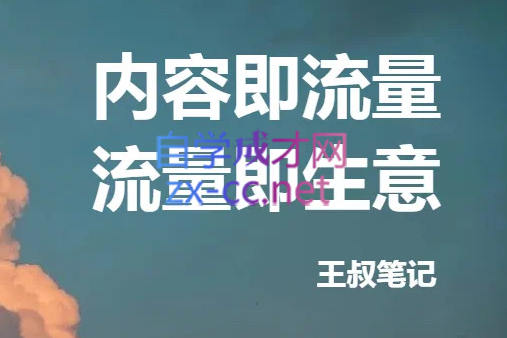 王叔·21天文案引流训练营，价值299元