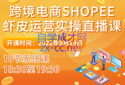 Sunny老师·跨境电商shopee虾皮运营实操直播课，价值4580元