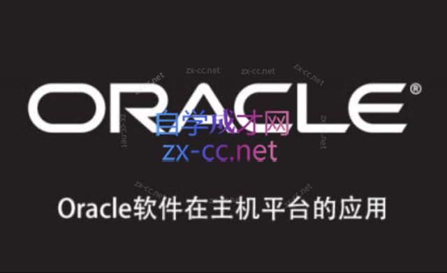 Oracle软件在主机平台的应用