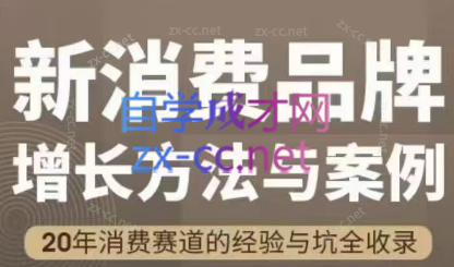 王岑：新消费品牌增长方法与案例（爆款视频课）