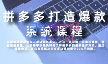 大海·拼多多高阶打造爆款全套课程 大海·拼多多高阶打造爆款全套课程