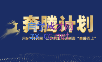 MoonSees奔腾计划（亚马逊卖家运营与利润提升服务）