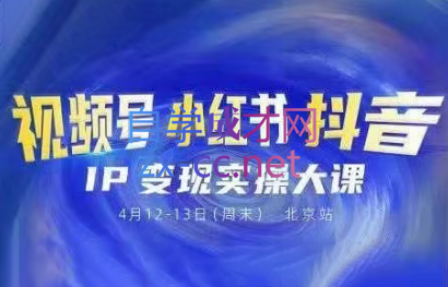 群响·视频号小红书抖音IP变现实操