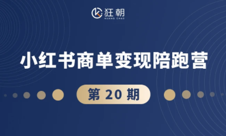 盗坤·抖音小红书视频号短视频带货与直播变现（11-20期）